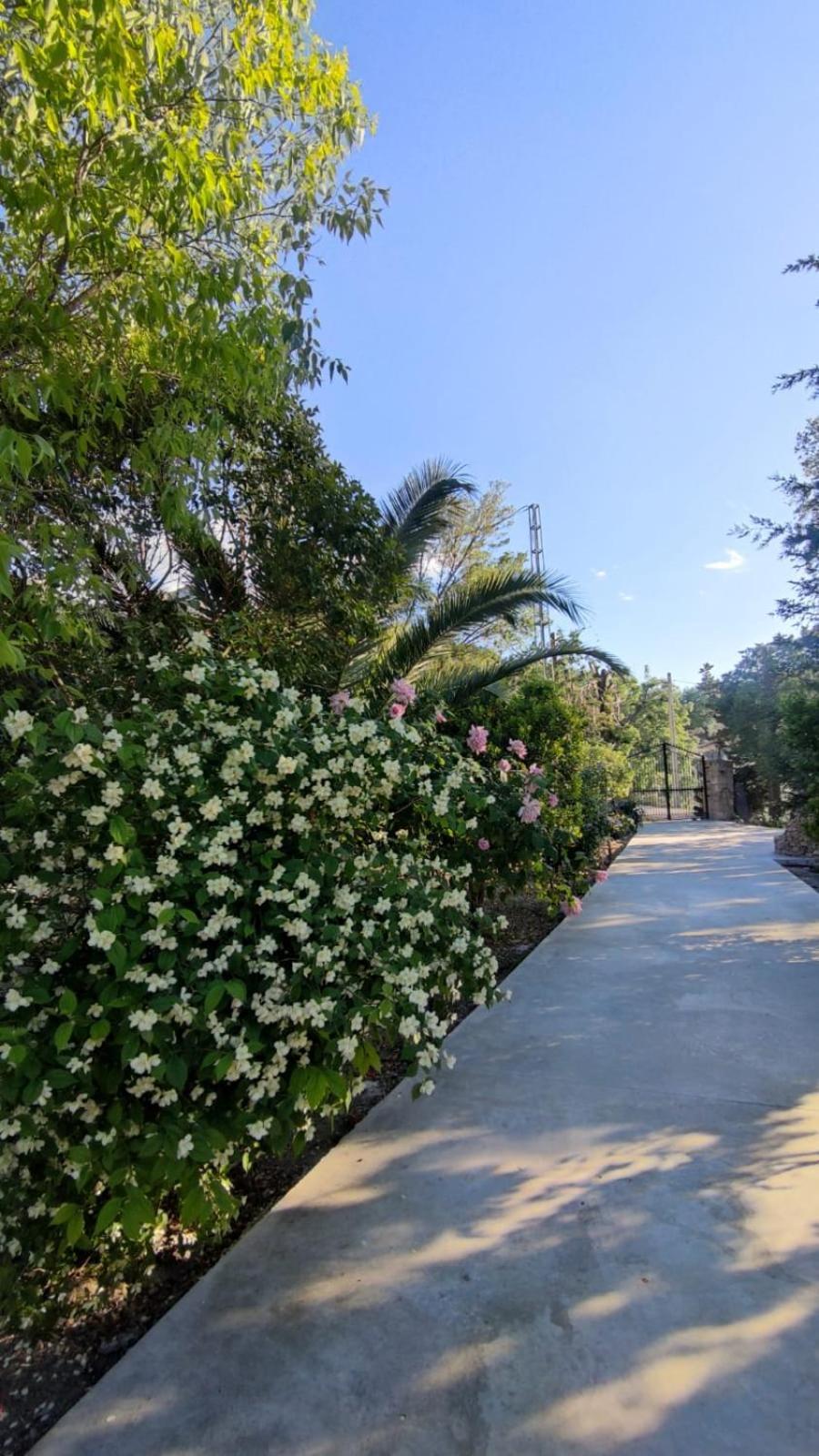 Villa Rosario La Iruela Exterior foto